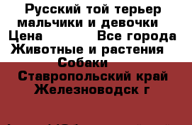 Русский той-терьер мальчики и девочки › Цена ­ 8 000 - Все города Животные и растения » Собаки   . Ставропольский край,Железноводск г.